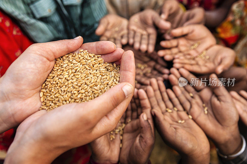 Volunteer caucasian woman giving grain to starving children